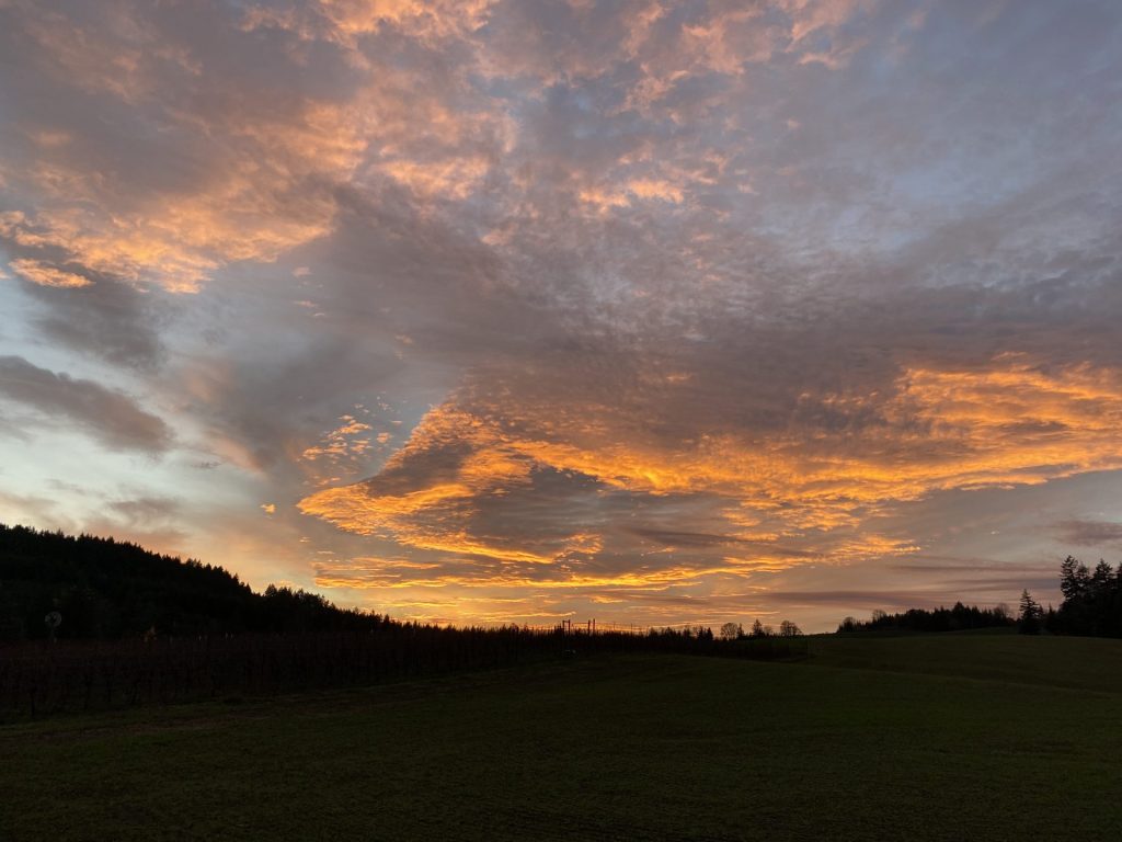 Curated by Season and Style