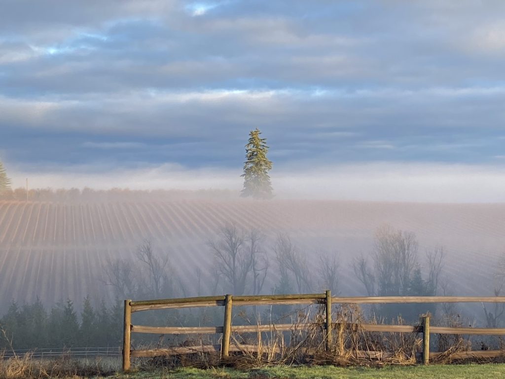 Curated by Season and Style