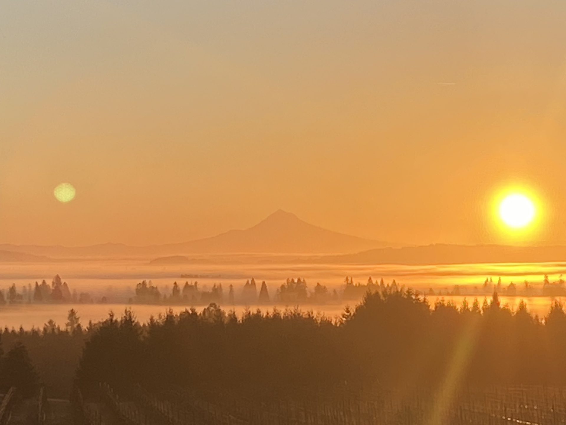 Curated by Season and Style