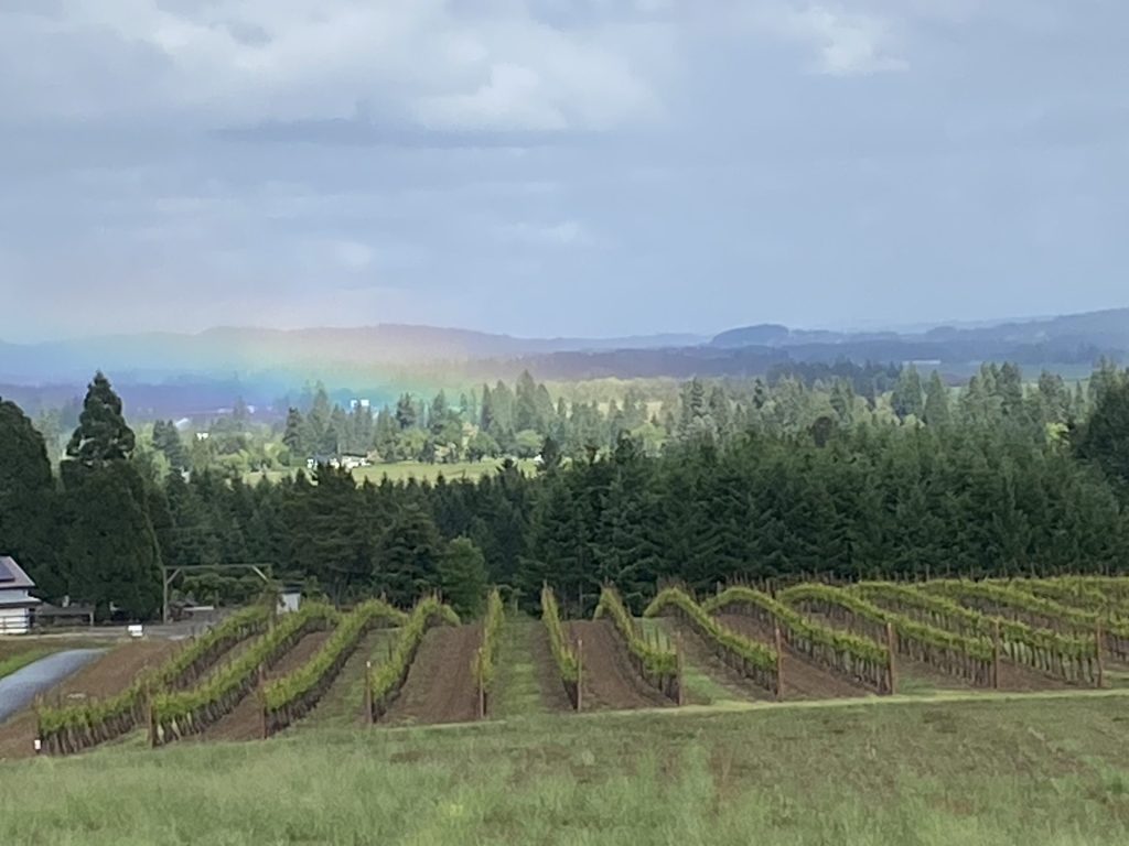 Capturing the Essence